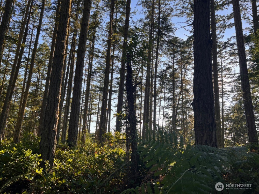 3 LOT Pavey Boulevard , Lopez Island, WA 98261