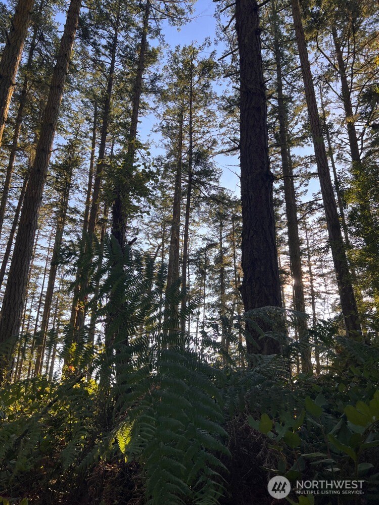 3 LOT Pavey Boulevard , Lopez Island, WA 98261