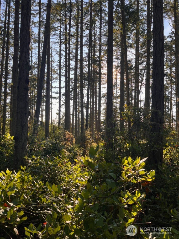3 LOT Pavey Boulevard , Lopez Island, WA 98261