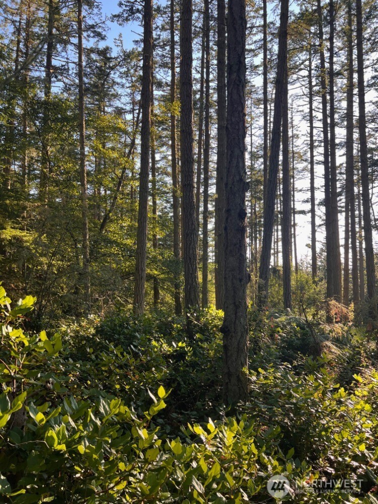 3 LOT Pavey Boulevard , Lopez Island, WA 98261