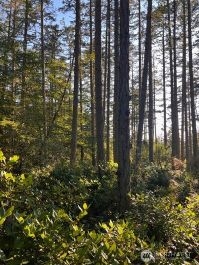 3 LOT Pavey Boulevard , Lopez Island, WA 98261 - Photo 6