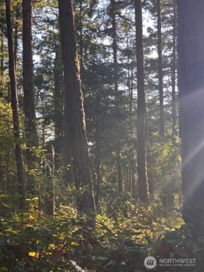 3 LOT Pavey Boulevard , Lopez Island, WA 98261 - Photo 7