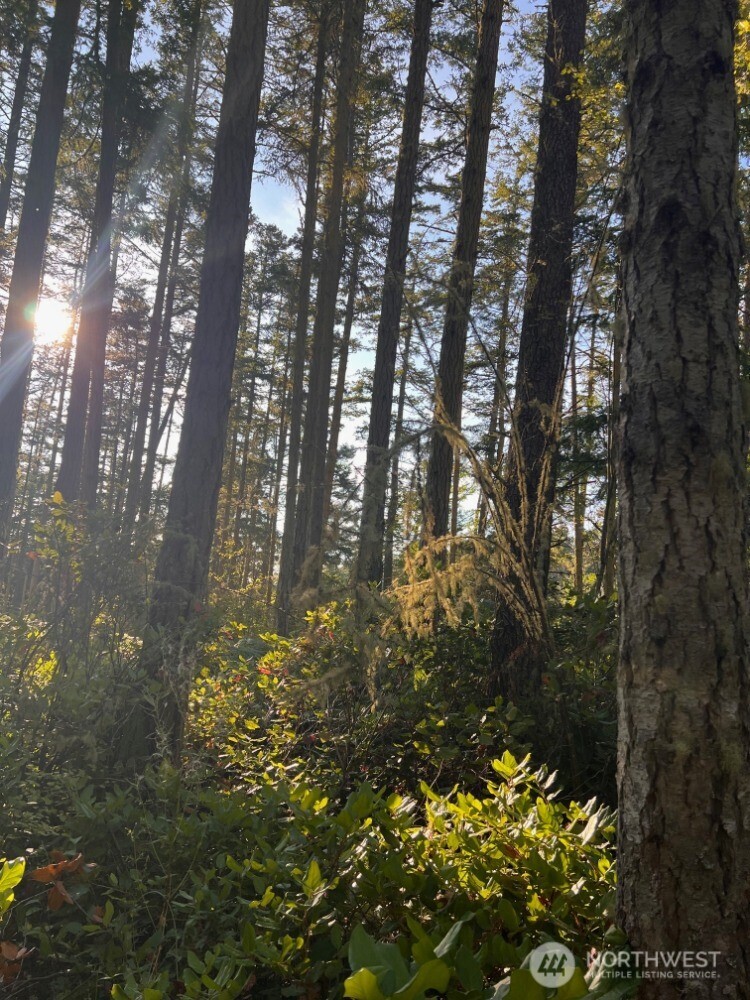 3 LOT Pavey Boulevard , Lopez Island, WA 98261