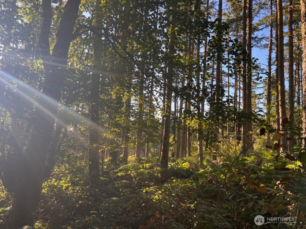 3 LOT Pavey Boulevard , Lopez Island, WA 98261