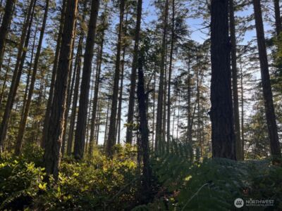 3 LOT Pavey Boulevard , Lopez Island, WA 98261 - Photo 10