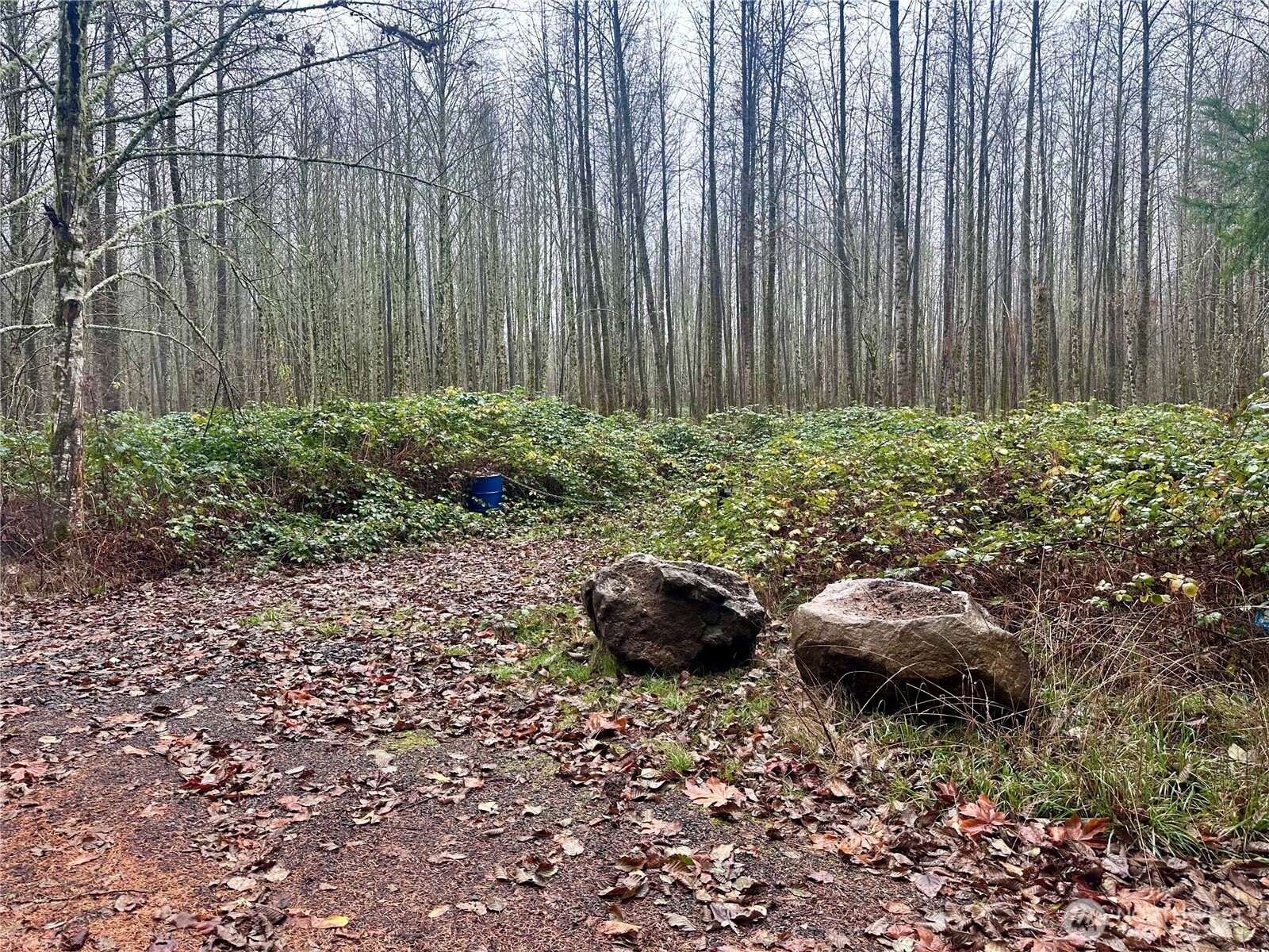 1230 Silverbrook Road , White Pass, WA 98937