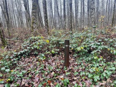 1230 Silverbrook Road , White Pass, WA 98937 - Photo 3