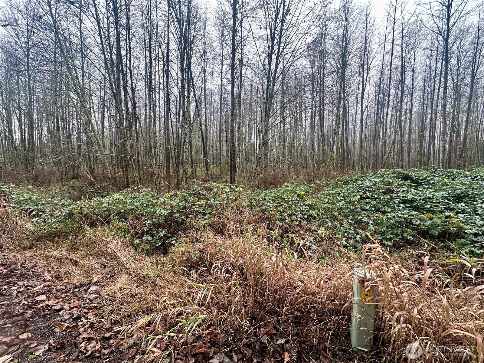 1230 Silverbrook Road , White Pass, WA 98937