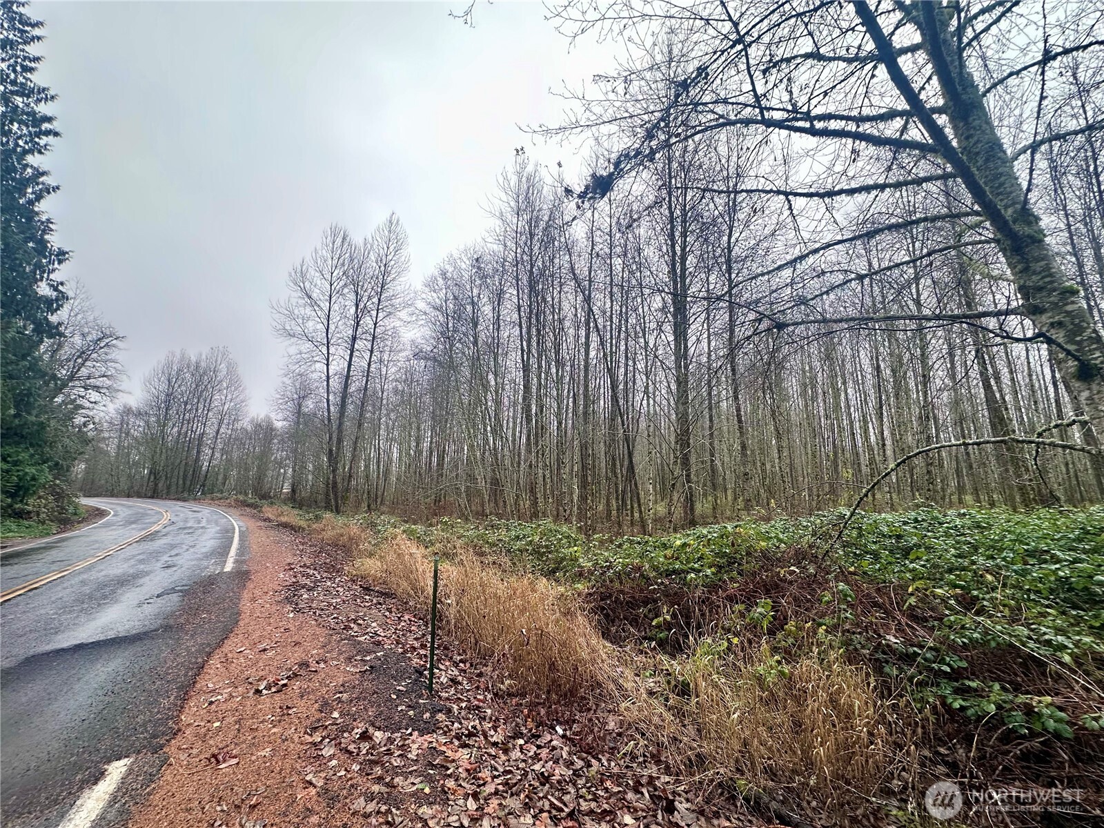 1230 Silverbrook Road , White Pass, WA 98937