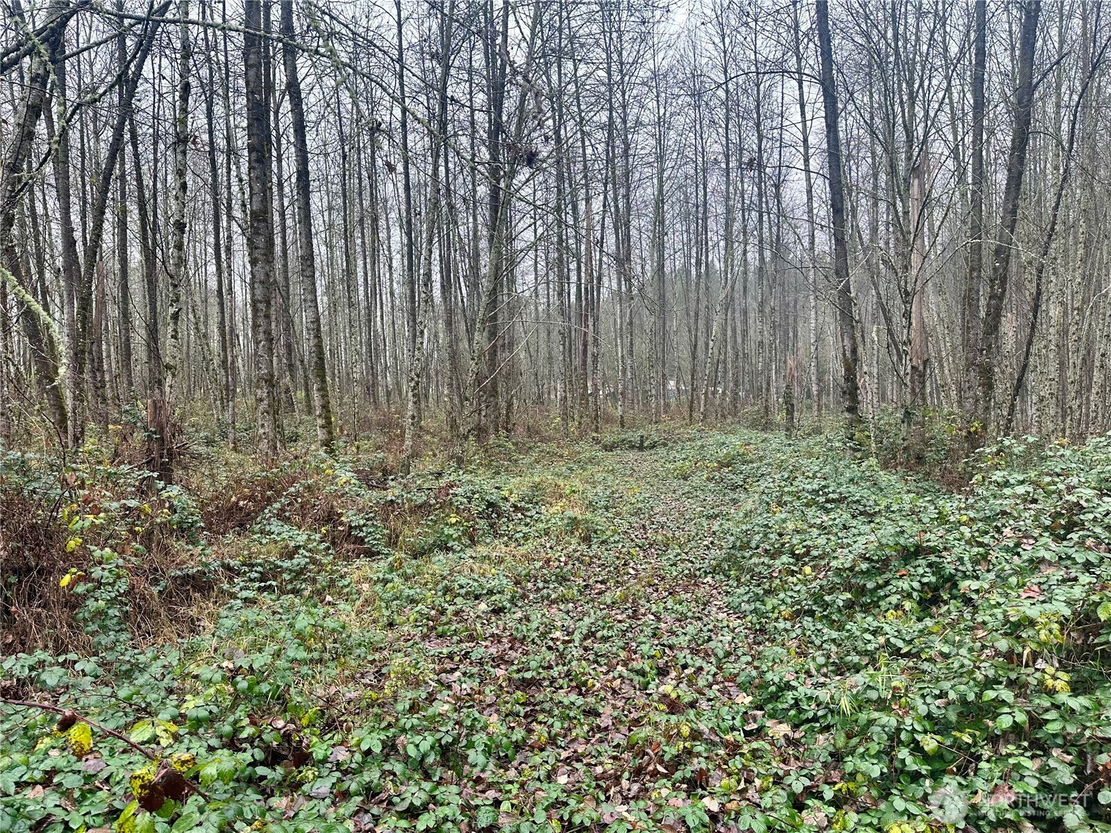 1230 Silverbrook Road , White Pass, WA 98937