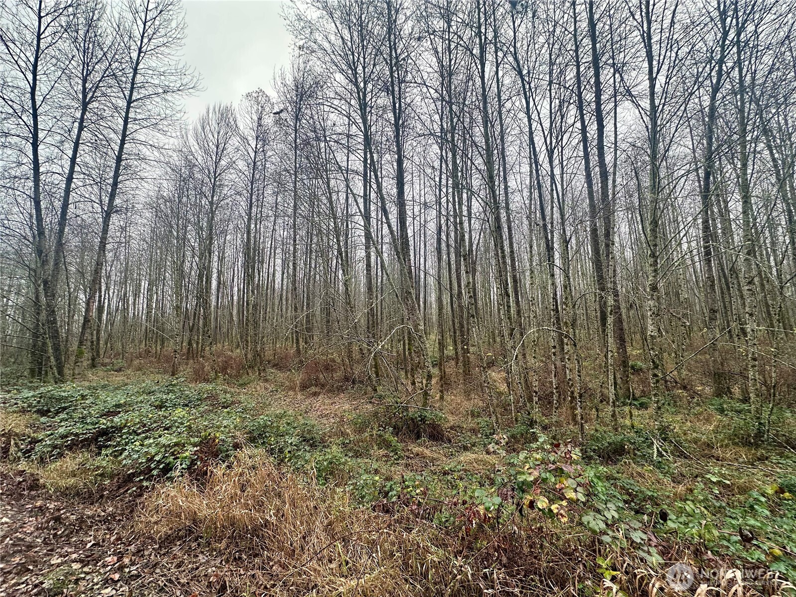 1230 Silverbrook Road , White Pass, WA 98937