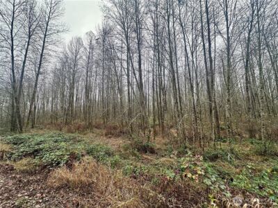 1230 Silverbrook Road , White Pass, WA 98937 - Photo 9