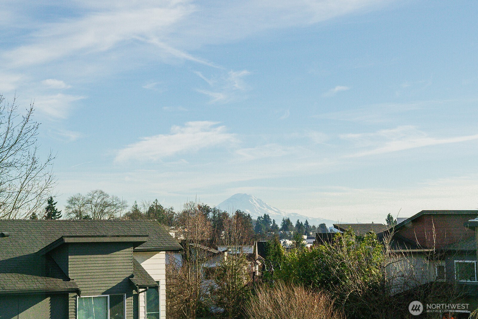 4110 30th Avenue S #8, Seattle, WA 98108