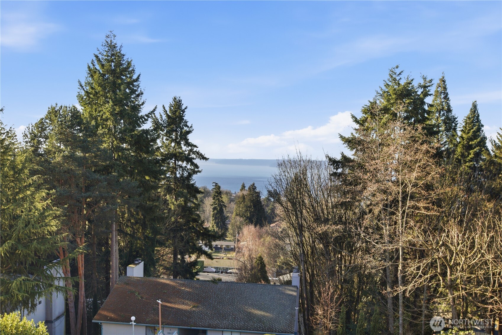 28610 16th Avenue S #303, Federal Way, WA 98003