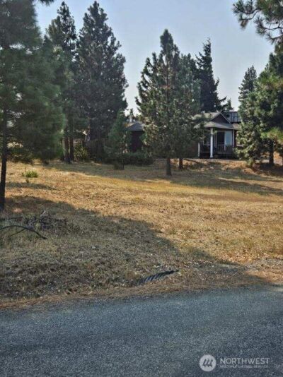 1120 Sunlight Drive , Cle Elum, WA 98922 - Photo 8