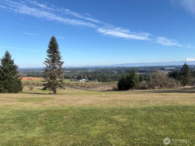 349 Hale Road W, Winlock, WA 98596 - Photo 9