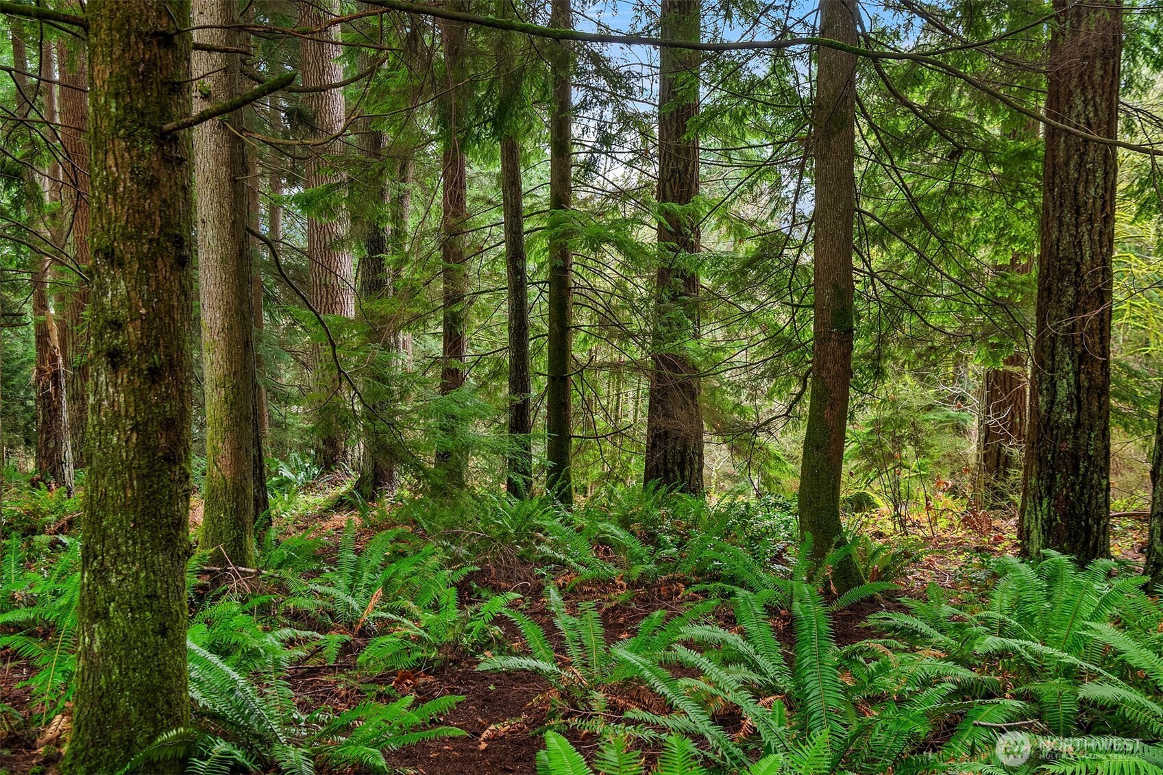 32218 NE 193rd Street , Duvall, WA 98019