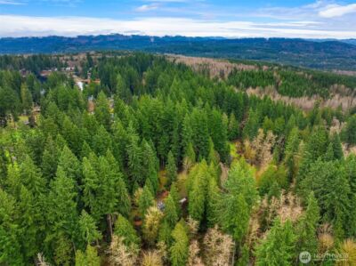 32218 NE 193rd Street , Duvall, WA 98019 - Photo 36