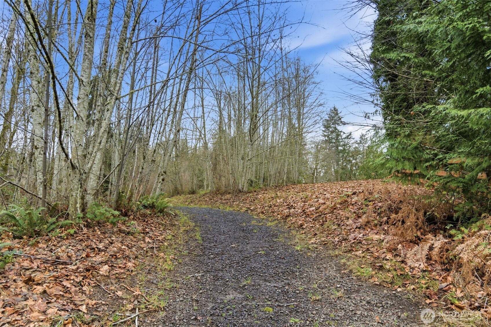 8115 64th Street Ct NW, Gig Harbor, WA 98335