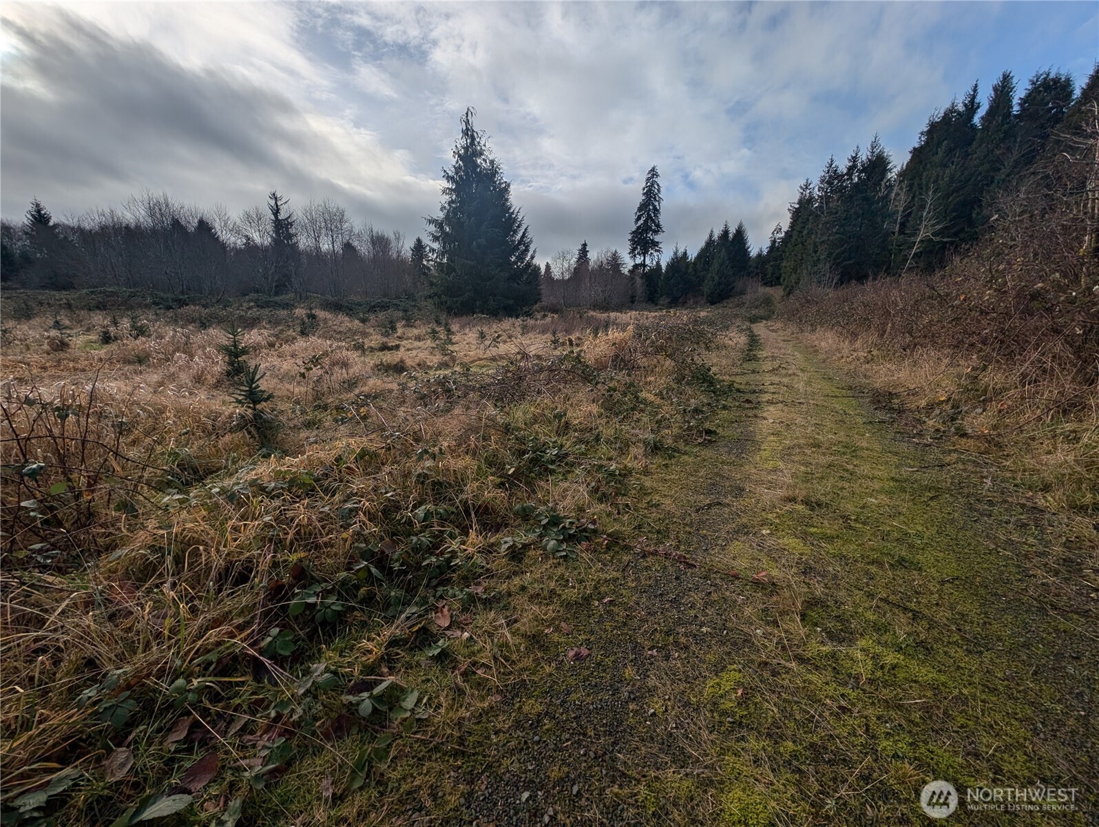 999 Green Road , Forks, WA 98331