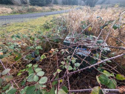 999 Green Road , Forks, WA 98331 - Photo 13