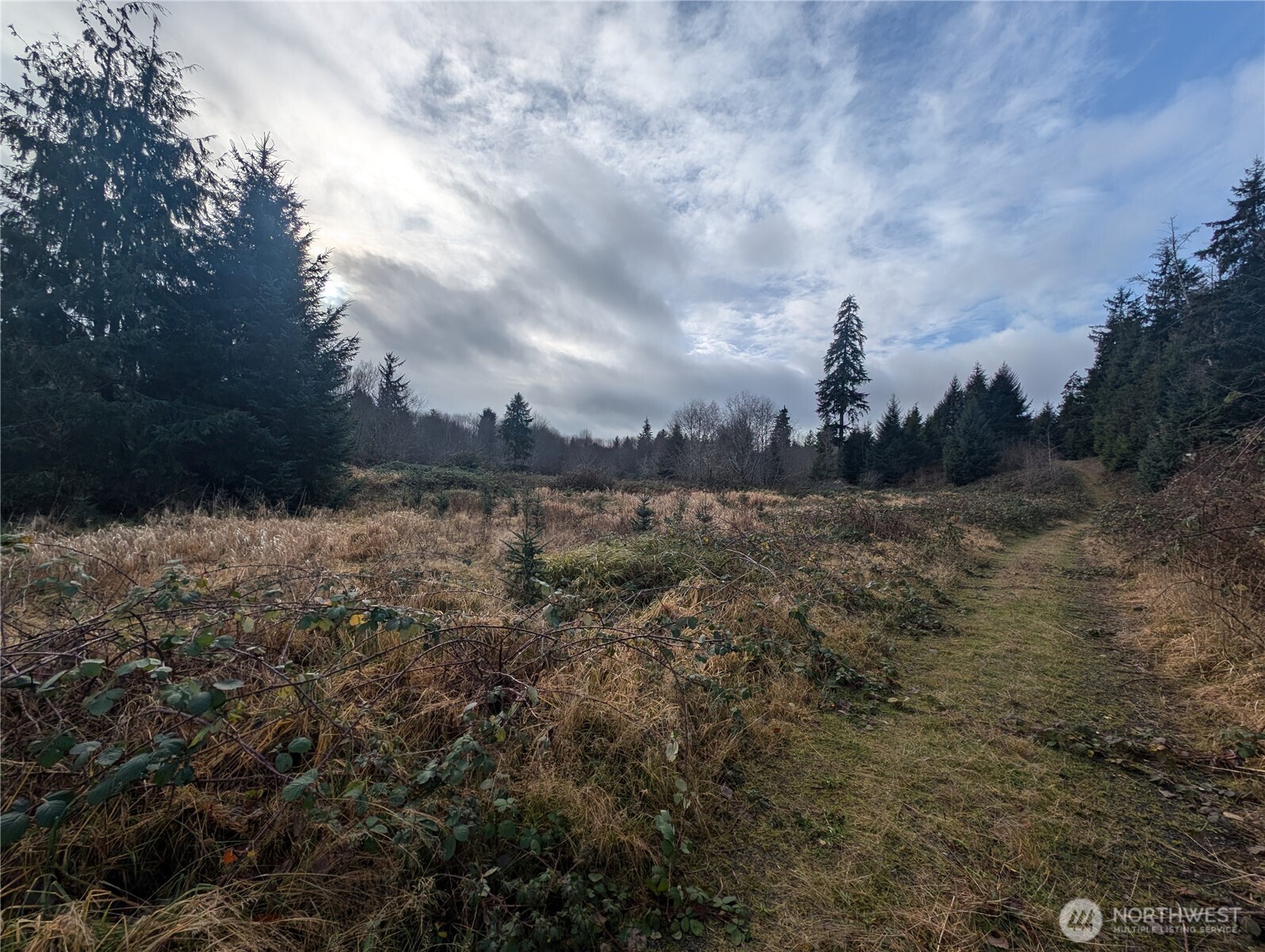 999 Green Road , Forks, WA 98331