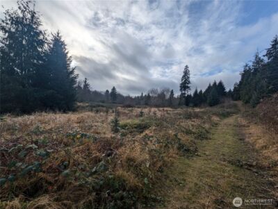 999 Green Road , Forks, WA 98331 - Photo 15