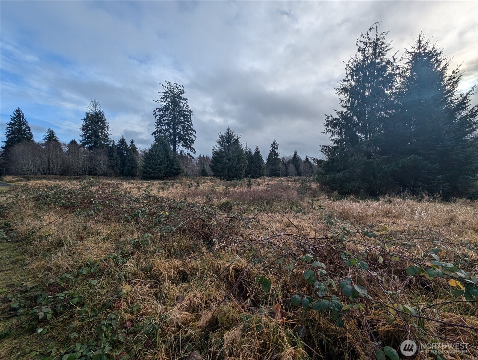 999 Green Road , Forks, WA 98331