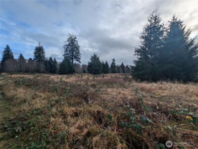 999 Green Road , Forks, WA 98331 - Photo 16