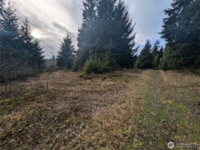 999 Green Road , Forks, WA 98331 - Photo 17