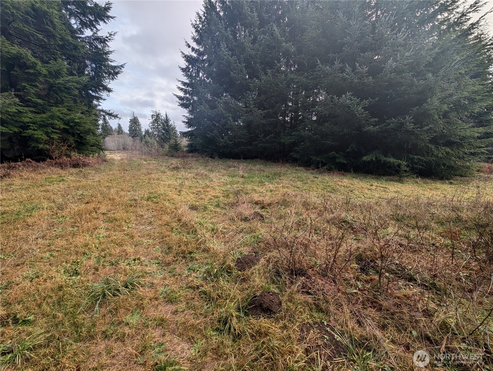999 Green Road , Forks, WA 98331