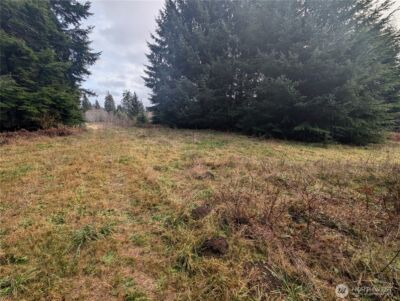999 Green Road , Forks, WA 98331 - Photo 19