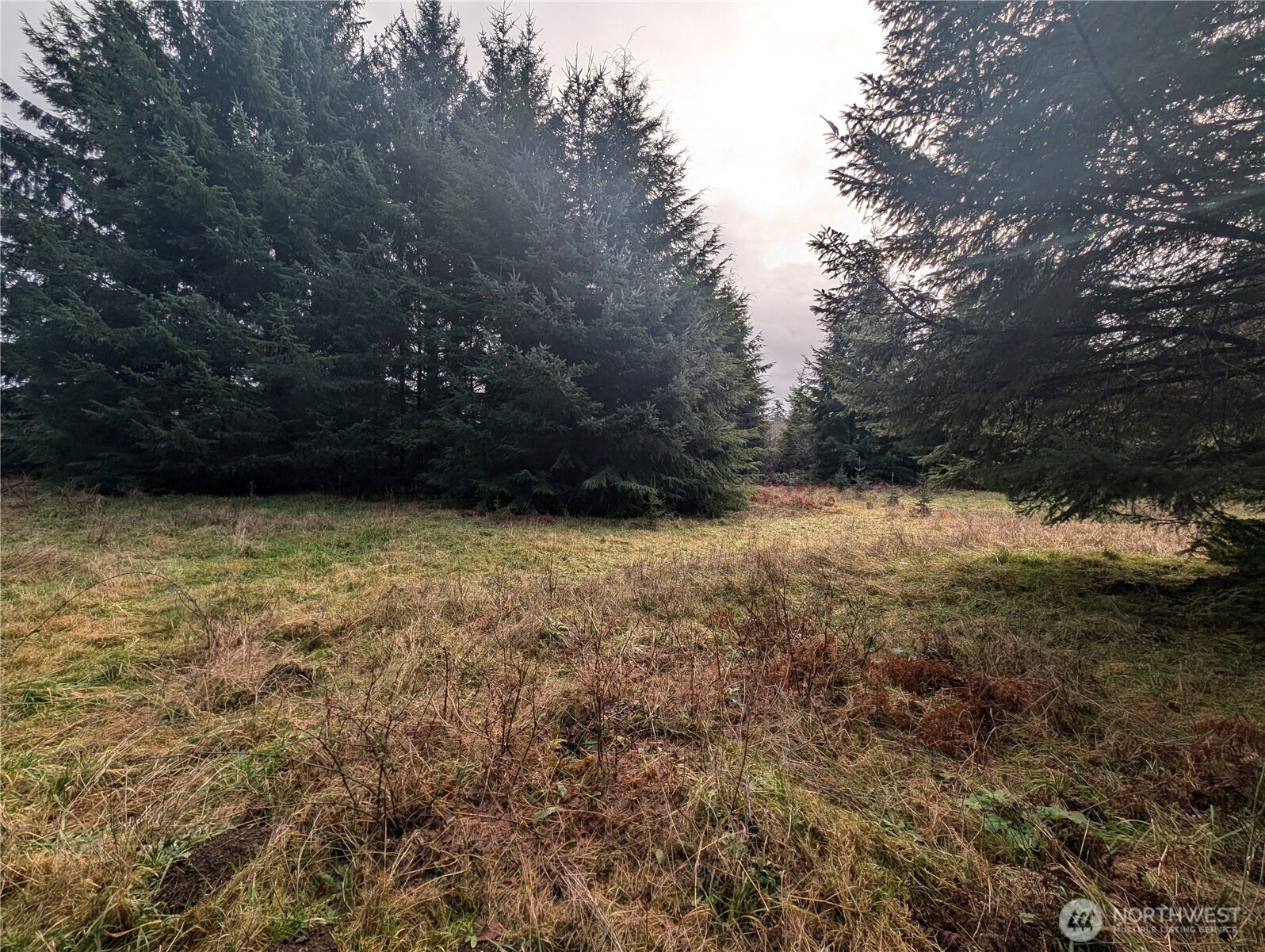 999 Green Road , Forks, WA 98331