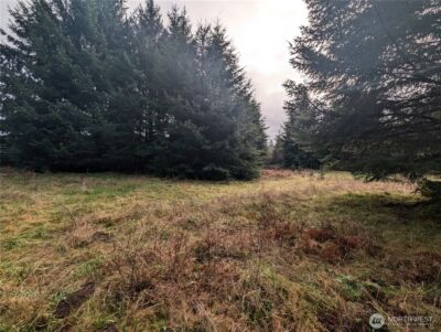 999 Green Road , Forks, WA 98331 - Photo 20