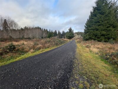 999 Green Road , Forks, WA 98331 - Photo 2