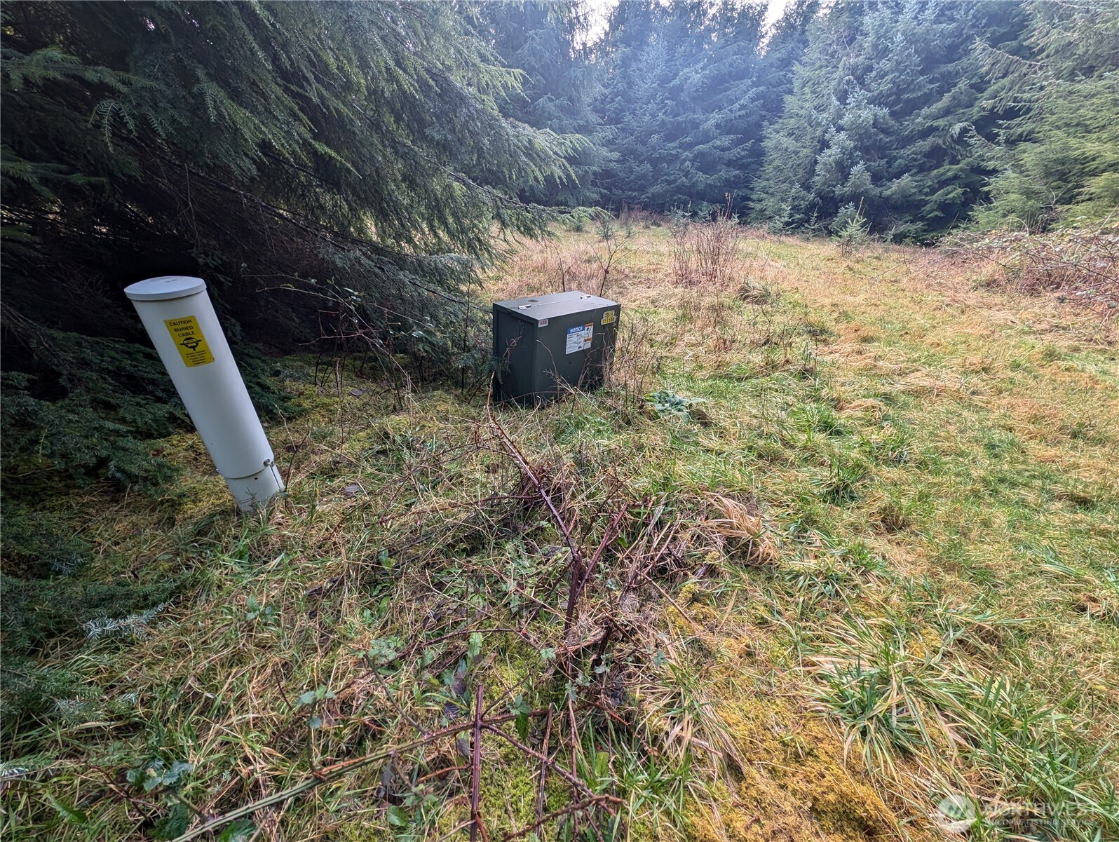 999 Green Road , Forks, WA 98331