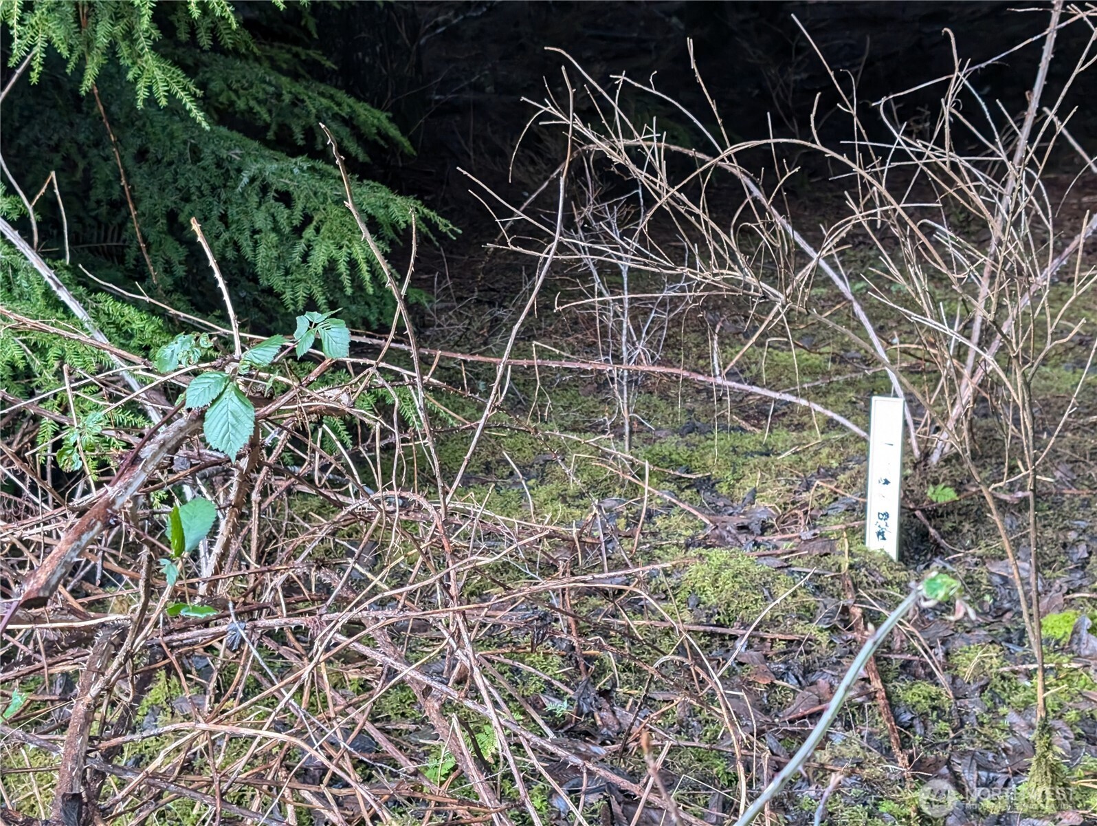 999 Green Road , Forks, WA 98331