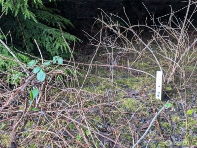 999 Green Road , Forks, WA 98331 - Photo 22