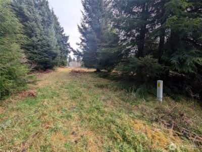 999 Green Road , Forks, WA 98331 - Photo 23