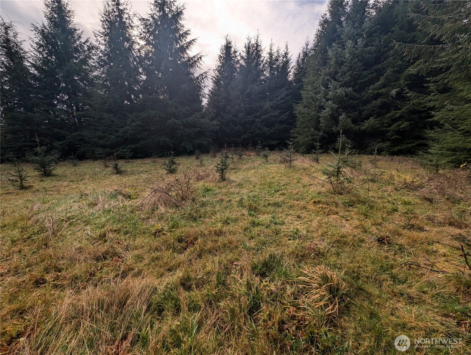 999 Green Road , Forks, WA 98331