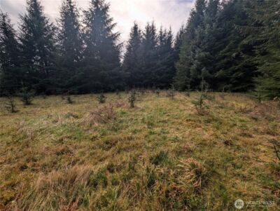 999 Green Road , Forks, WA 98331 - Photo 24