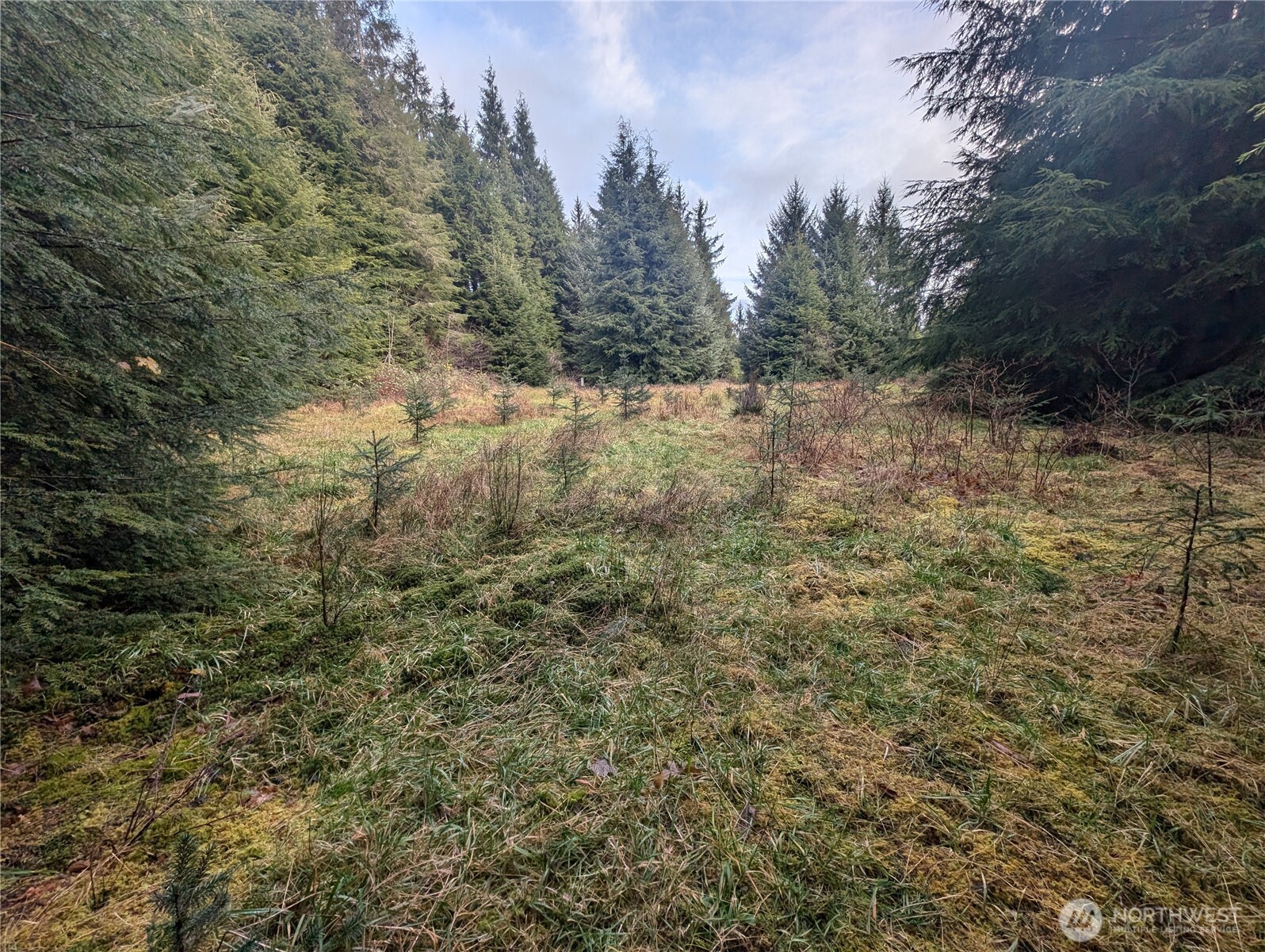 999 Green Road , Forks, WA 98331