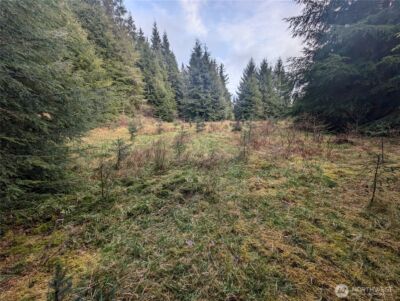 999 Green Road , Forks, WA 98331 - Photo 25