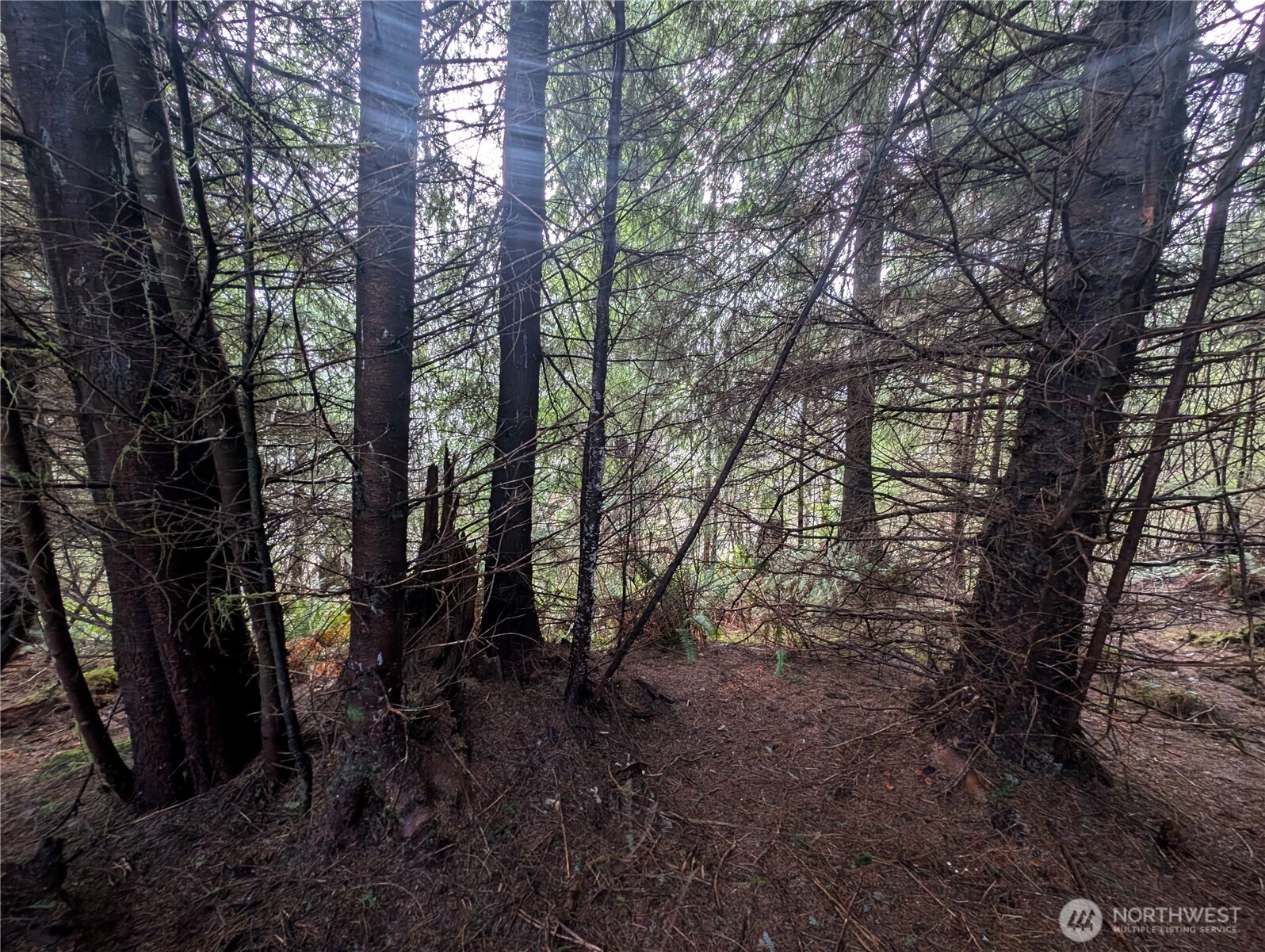 999 Green Road , Forks, WA 98331