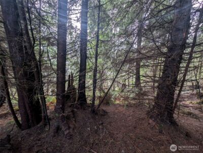 999 Green Road , Forks, WA 98331 - Photo 26