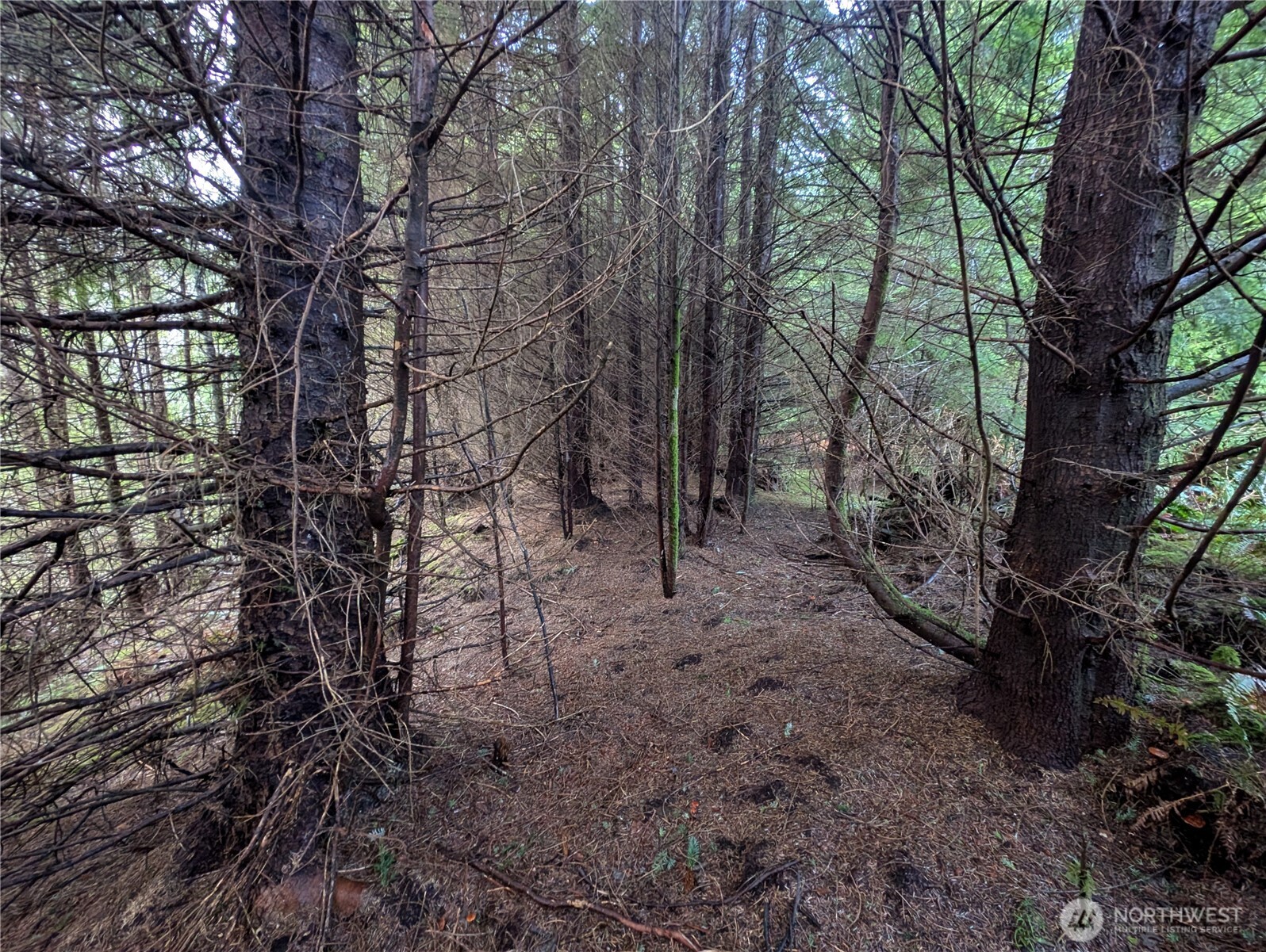 999 Green Road , Forks, WA 98331