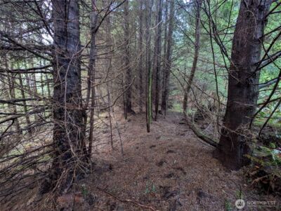 999 Green Road , Forks, WA 98331 - Photo 27