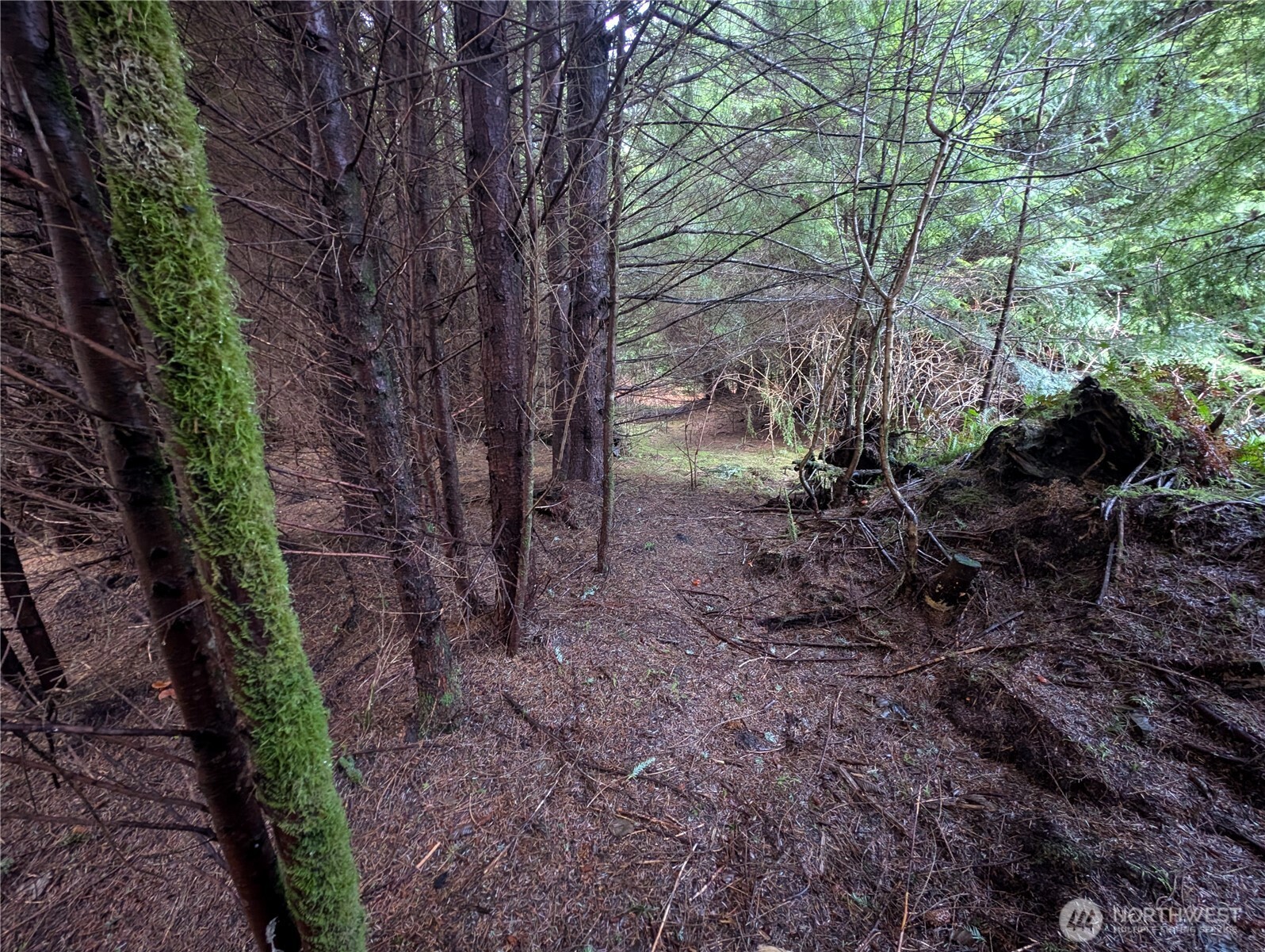 999 Green Road , Forks, WA 98331