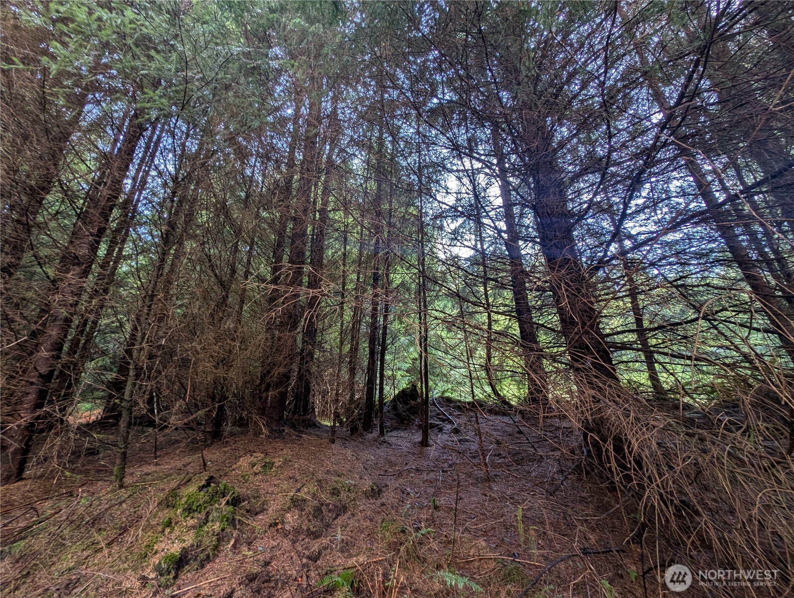 999 Green Road , Forks, WA 98331