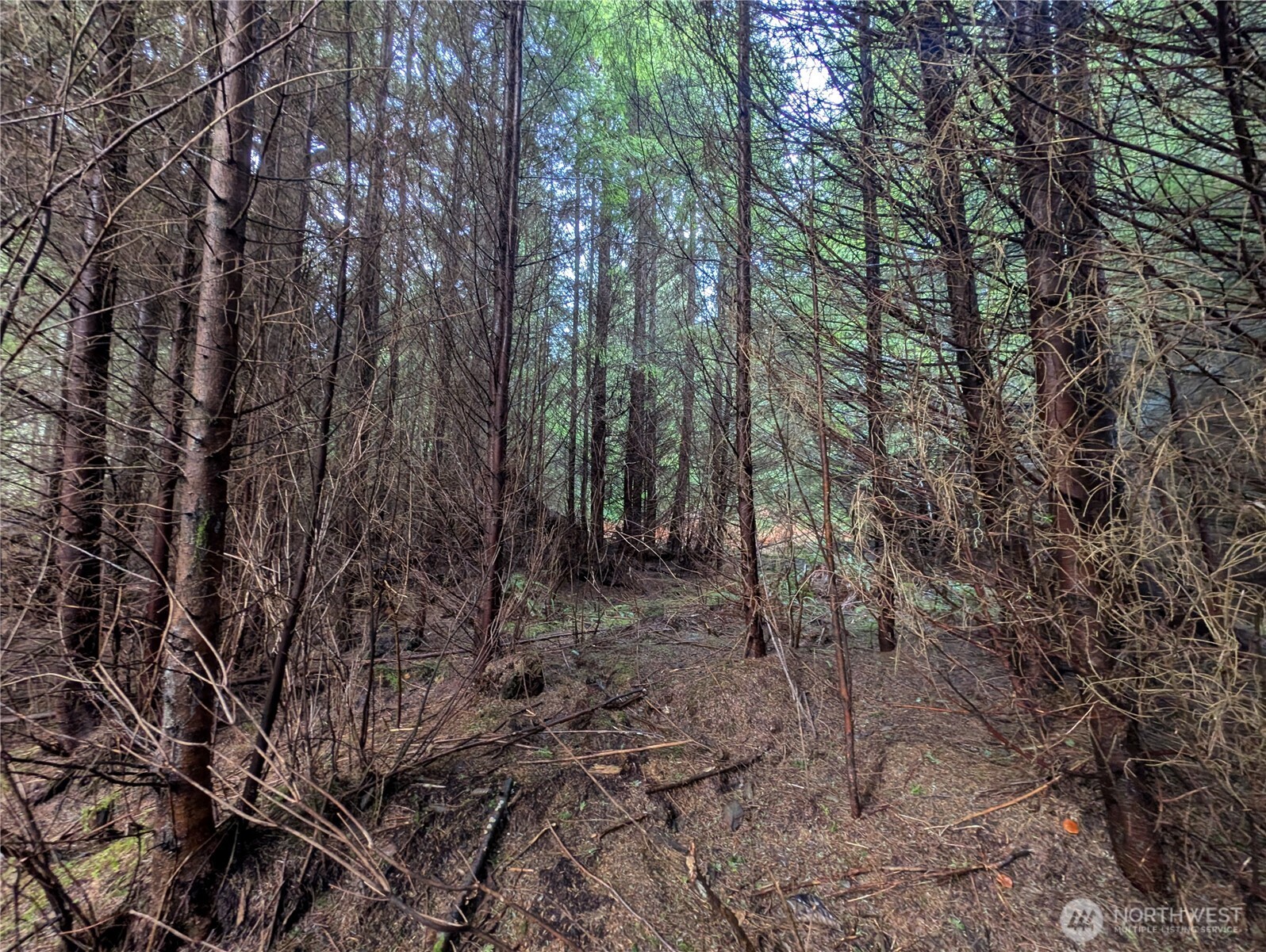 999 Green Road , Forks, WA 98331